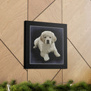 Canvas Gallery Wraps