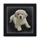 Canvas Gallery Wraps