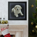 Canvas Gallery Wraps