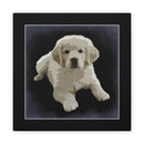 Canvas Gallery Wraps