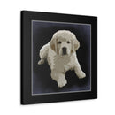 Canvas Gallery Wraps