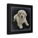 Canvas Gallery Wraps