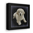 Canvas Gallery Wraps