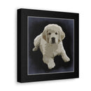 Canvas Gallery Wraps