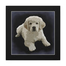 Canvas Gallery Wraps