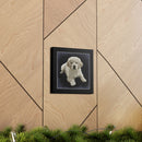 Canvas Gallery Wraps