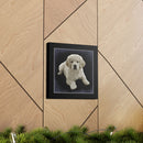 Canvas Gallery Wraps