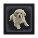 Canvas Gallery Wraps