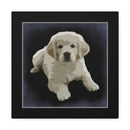 Canvas Gallery Wraps