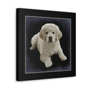 Canvas Gallery Wraps