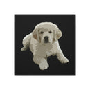 Canvas Stretched, 0.75"