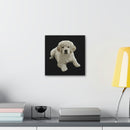 Canvas Stretched, 0.75"