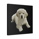 Canvas Stretched, 0.75"