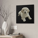 Canvas Stretched, 0.75"