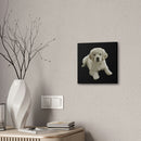 Canvas Stretched, 0.75"