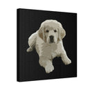 Canvas Stretched, 0.75"