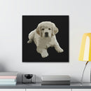 Canvas Stretched, 0.75"